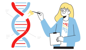 FDA Approves first Gene Therapy to treat adults with Hemophilia B