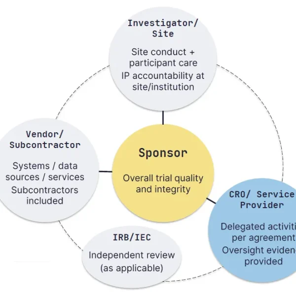 FSP (Functional Service Provider) refers to an outsourcing model