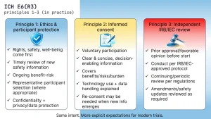 ICH E6(R3) Principles 1-3