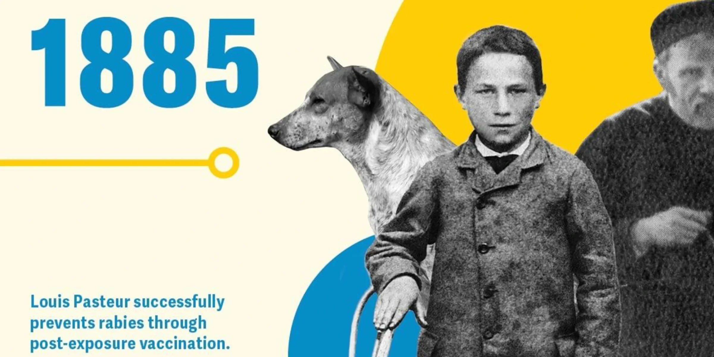 Immunization-history5