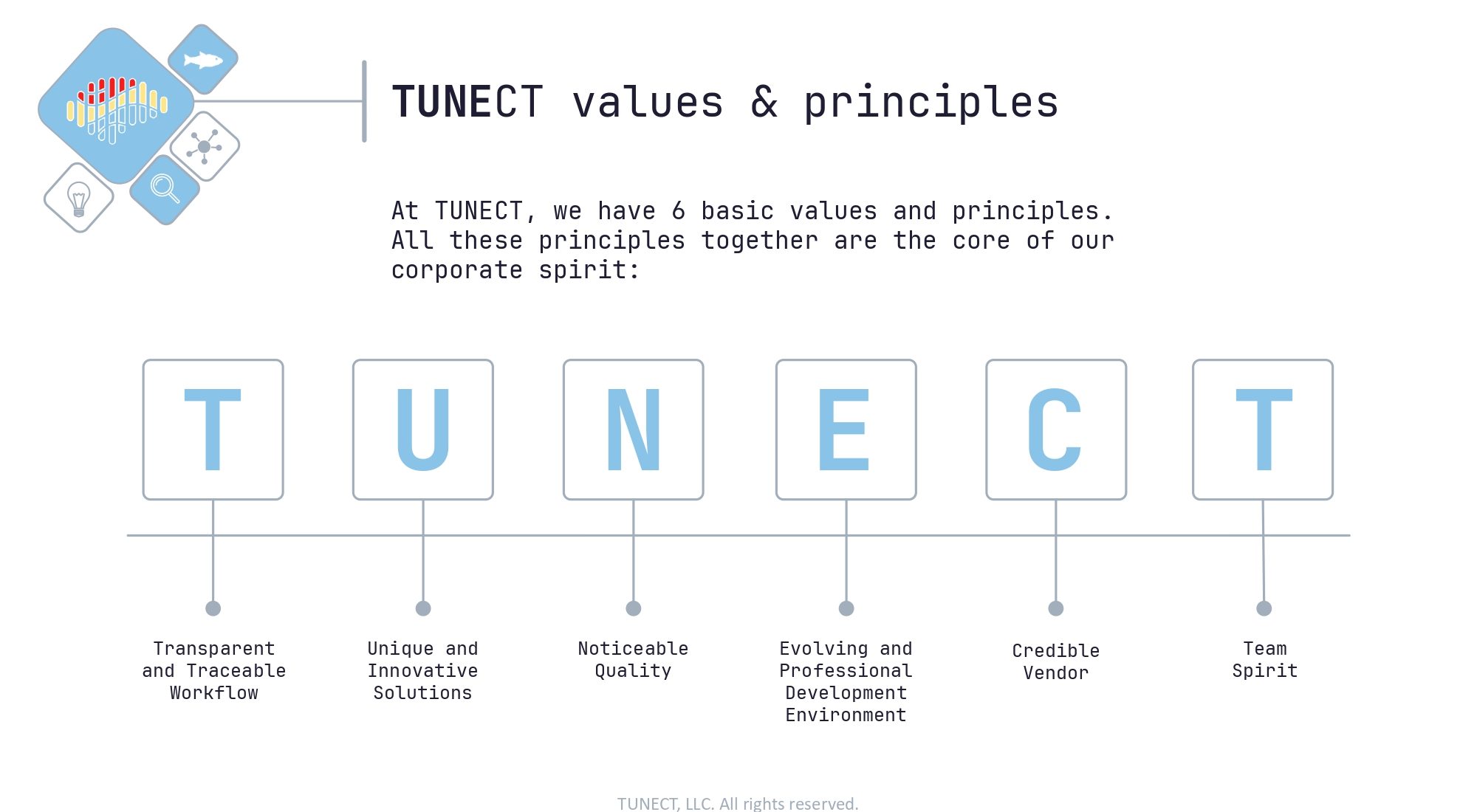TUNECT_corporate_presentation_page-0003